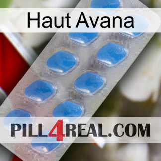 Top Avana 22